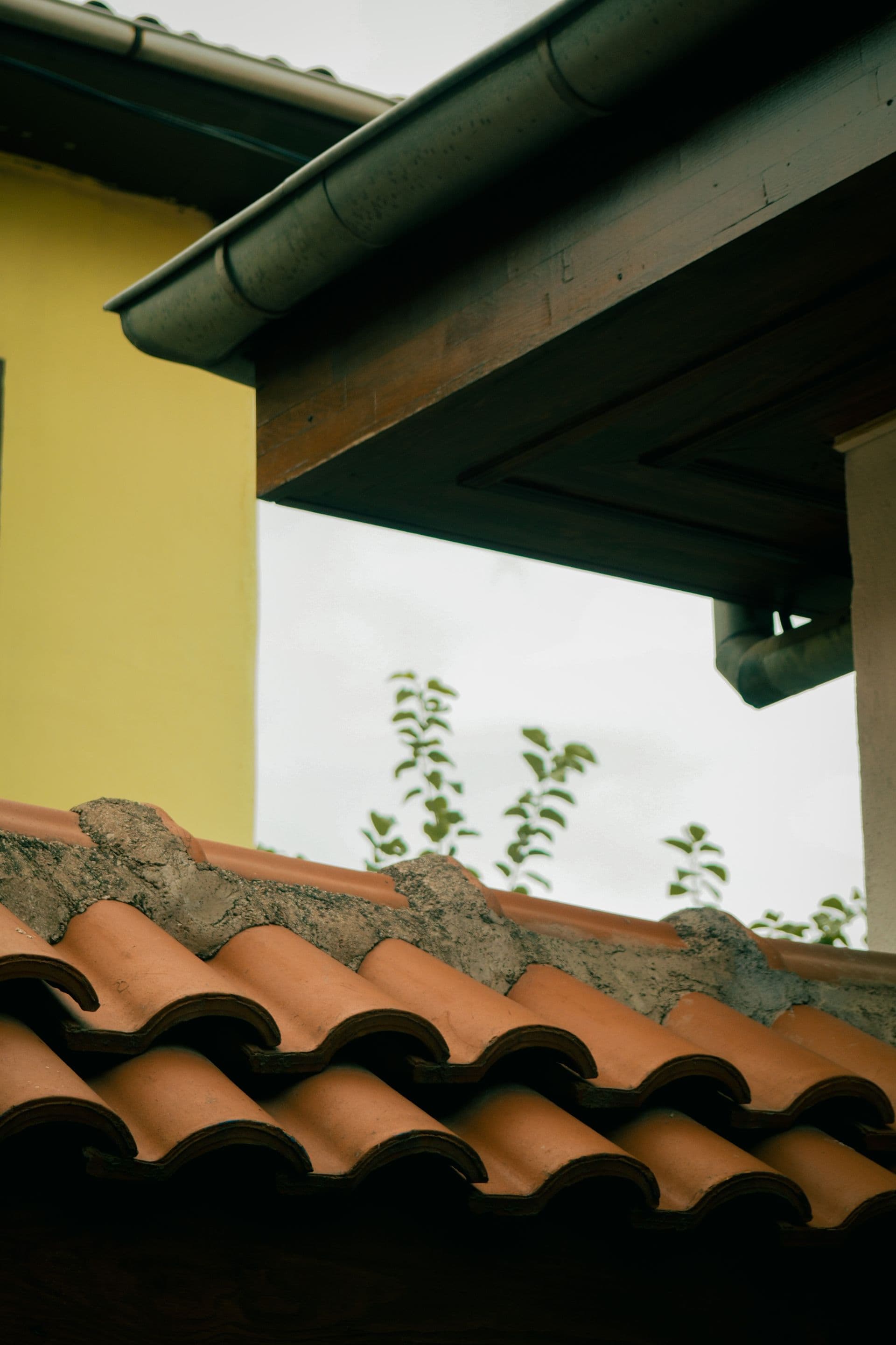 Ice and water shield at the eave — install detail
